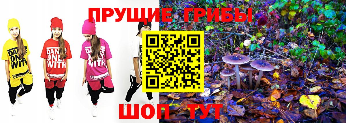 Псилоцибиновые грибы MAGIC MUSHROOMS  Псилоцибиновые грибы мухоморы  Вход с VPN  Кольчугино 