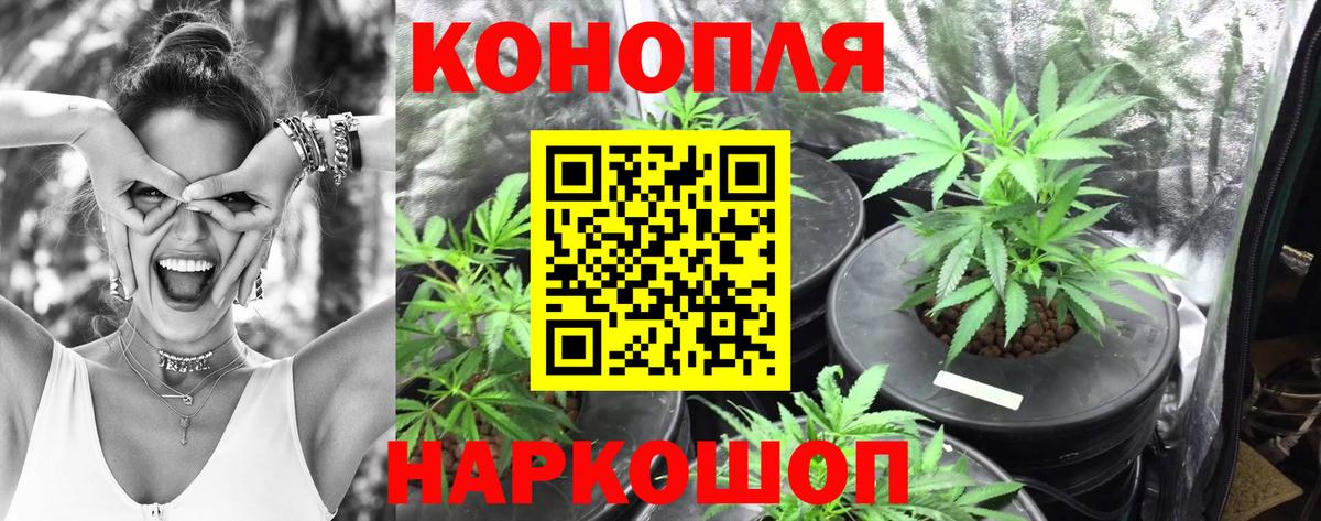 МДМА Кольчугино